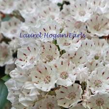 Direct from great big canvas! Mountain Laurel Handcrafts Home Facebook
