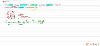 If plants do not get enough water, photosynthesis slows down. When Water Enters A Plant Cell Due To Diffusion Causing A Pressure Built Against The Cell Wall Makes It Turgid This Increase The Biology Q A Doubtnut
