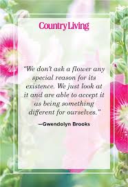 Maybe you would like to learn more about one of these? 48 Inspirational Flower Quotes Cute Flower Sayings About Life And Love