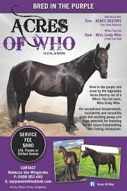 Find and book unique accommodations on airbnb. Acres Of Who Australia Perth Wa Karridale Equidirectory