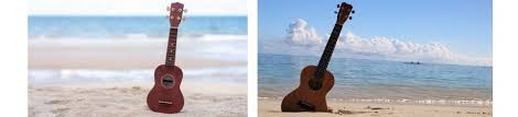 Buy The Best Ukulele Online In Sg December 2020