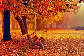 Check spelling or type a new query. Desktop Background November 1600x1066 Download Hd Wallpaper Wallpapertip