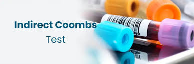 Image result for Indirect Coombs