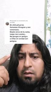 Responder a @jorali82 #mastigoproctusgiganteus #vinagrillo #mito #respuesta  #faunasilvestre