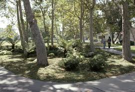 Image result for Village Green 1942 Mercury