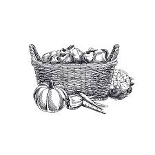 Logo design of fruit basket with lettering. Beautiful Vector Hand Drawn Vegetables Illustration Detailed Retro Style Basket With Vegetables And Fruits Image Vintage Sketch Element For Labels Packaging And Cards Design Ù…ÙˆÙ‚Ø¹ ØªØµÙ…ÙŠÙ…ÙŠ
