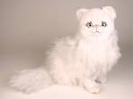 Persian cat - Wikipedia