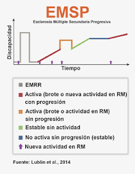 Gran parte de la respuesta inmunitaria asociada con la esclerosis múltiple se produce en las primeras etapas de la enfermedad. Tipos De Esclerosis Multiple Esclerosis Multiple Espana
