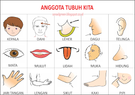 Hufagripp pilek mengandung pseudoephedrine hcl (untuk mengatasi hidung tersumbat) dan chlorpenamine maleate (untuk mengatasi alergi rhinitis). Pin Di Ejaaan