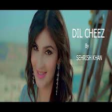 Dil Cheez