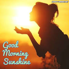 Best and latest collection of good morning sunshine wallpapers and images to download and share to your near and dear ones. Pin On Images