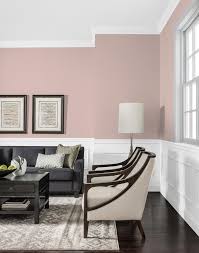 How to prime a wall. Rose Gold Johnstone S Interior Paint Colours