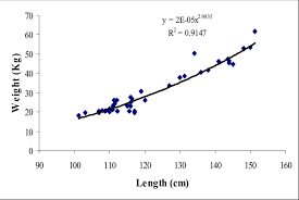 The yellowfin tuna (thunnus albacares) is a species of tuna found in pelagic waters of tropical and subtropical oceans worldwide. Length Weight Relationship Of Yellowfin Tuna Download Scientific Diagram