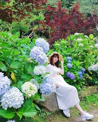 地點 杉林溪森林生態渡假園區 楊先生去黑部立山員工旅遊 懷胎7個月的孕婦只能留在台灣耍廢 當5天的爸媽寶