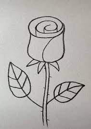 Form, geometric shapes, graphite, graphite pencils, pencils, primitive shapes, shade, shading, shapes, still life. Graphite Pencil Draw On Twitter Rose Drawing Easy Draw Pencil Https T Co 0859bp2plt
