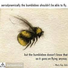 Reposted From Ibelieveinone Be Like Bumblebee And Proceed With Your Dreams No Matter What Expand Your Awareness Ibelieveinone Bee Bumble Bee Bee Tattoo