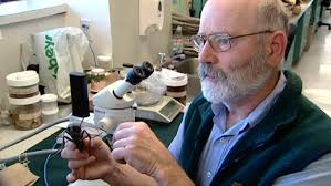 Blackfly season will have bite this year in Nova Scotia