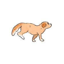 Download these amazing cliparts absolutely free and use these for creating your presentation, blog or website. Animated Dog Gif Transparent Cuteanimals