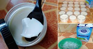 Kemudian pangsit malas dengan keju cottage diperoleh dengan udara dan lembut. Cara Buat Dadih Guna Susu Full Cream Lebih Berkhasiat Untuk Anak Vanilla Kismis