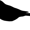 Unduh gratis berkualitas tinggi burung beberapa burung gratis png png bahan transparan png file grafik terbaru, angka lovepik grafis ini adalah 727743192, kategorinya adalah png, ukurannya adalah 5.3 mb, anda dapat mengunduh clipart grafik vektor yang dapat diedit gratis di lovepik, kami menyediakan elemen dalam png, ai, psd, eps dan format lainnya, semua gambar dapat digunakan secara. 1