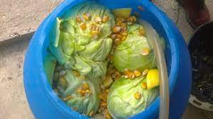 De varză murată crudă, de 2 ori pe zi, înainte de mesele consistente, în cură de minimum 3 săptămâni. Cea Mai SimplÄƒ DietÄƒ Cu VarzÄƒ MuratÄƒ Cum SlÄƒbeÈ™ti In Timp Record Impact