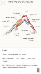 Pin On Yoga Stretches