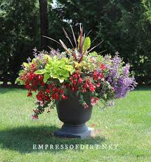 Dec 20, 2019 · while a single bulb can produce several huge flowers, you can maximize the show by planting three bulbs of the same variety in one pot, or mix and match a few different varieties. 8 Bold And Colorful Flower Pot Ideas Care Tips