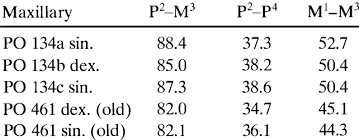 Check spelling or type a new query. Measurements In Mm Of The Maxillaries From Vatera Download Table