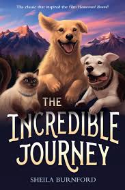 Kristen vance is experienced in all types of conditions and treatments. The Incredible Journey Burnford Sheila Burger Carl 9780440413240 Amazon Com Books