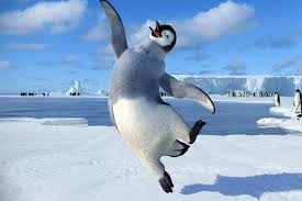 Quotes about being happy again. Happy Feet Penguins Penguin Quotes Happy Penguin