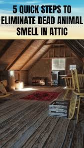 5 Quick Steps To Eliminate Dead Animal Smell In Attic In 2020 House Cleaning Tips Attic Steps