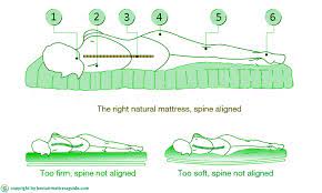 Maybe you would like to learn more about one of these? Air Mattresses And Back Pain Bestairmattressguide Com