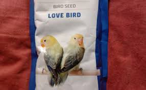 Pakan lovebird botolan ini cocok untuk. Manfaat Pakan Perkutut Gold Coin Untuk Lovebird Kekinian Cute766