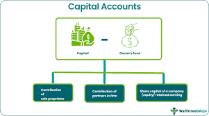 Capital Account - Definition, Example ...