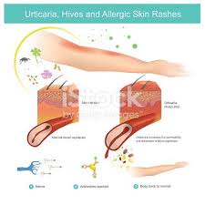 Pin On Human Body Info Graphic