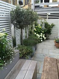Types Of In 2020 With Images Urban Garden Design Small Urban Garden Design Small Urban Garden