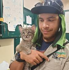 Meet the Keeper! Dan has worked at Capron Park Zoo for 5 years but has been  a zoo keeper for 21 years! Over those years he worked with big cats, all  different