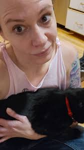 Lost black cat near Black Eagle golf course?