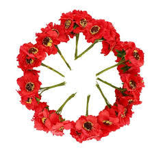 We did not find results for: High Quality Silk Poppies Camellia 5cm 60pcs Lot Artificial Flowers Corn Po I0y1 For Sale Online Ebay