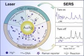 Maybe you would like to learn more about one of these? Recent Progress In Detection Of Mercury Using Surface Enhanced Raman Spectroscopy A Review Sciencedirect