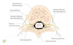 Spinalkanalstenose Symptome Ursachen Behandlung Onmeda De