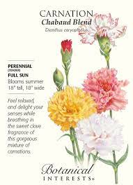 Chabaud Carnation Seeds 350 Mg Perennial Carnations Perennials Carnation Flower Meaning