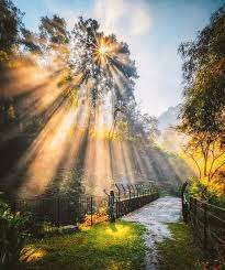 Dr Sager On Twitter In 2021 Landscape Photography Nature Summer Landscape