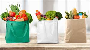 How to Stop Forgetting Your Reusable Shopping Bags – LifeSavvy