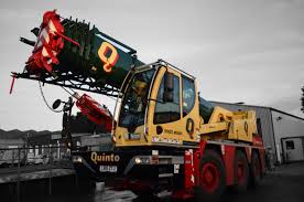 Up To 60 Tonnes Quinto Crane And Plant