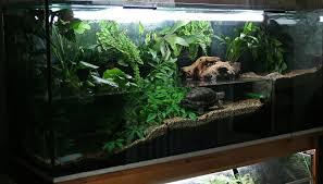The Definitive Guide To Creating A Paludarium Tank Plants And Building Suggestions Fishkeeping World In 2020 Aquatic Turtle Tank Turtle Tank Turtle Habitat