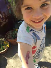 Les infos du mois de l'association"Mon école, ma baleine"