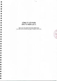 báo cáo tài chính đã được kiểm toán