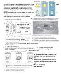 Day objective/teks teks b.11a (s). Texas Biology Staar Review Packet With Examples And Practice Questions