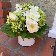 Check spelling or type a new query. Moss Flowers Garden